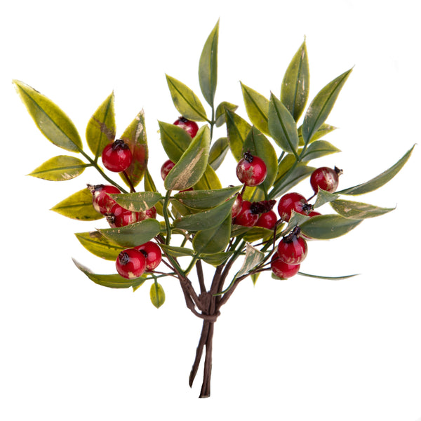 Set 12 Pick Ruscus 16 cm Rosso/Verde prezzo