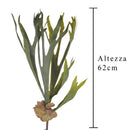 Set 2 Platycerium Artificiale con 5 Diramazioni Altezza 62 cm Verde