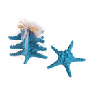 Set 6 Stelle 20 cm Colorata in Rete