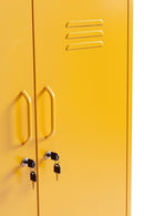 Mobile Basso 2 Ante 40x80x101,5 cm Cambridge in Acciaio Giallo