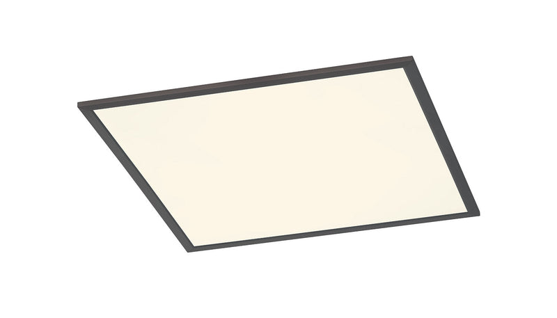 Plafoniera da Interno a LED in Metallo Nero Opaco