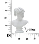 Scultura Roman Woman 21,5x14,5x34 cm in Poliresina Bianco