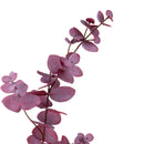 Set 4 Eucalipto Rami 75 cm 