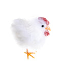 Set 6 Galline Decorative H 16 cm