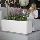 Telaio per Piante Rampicanti 60x14 cm a Forma di Traliccio