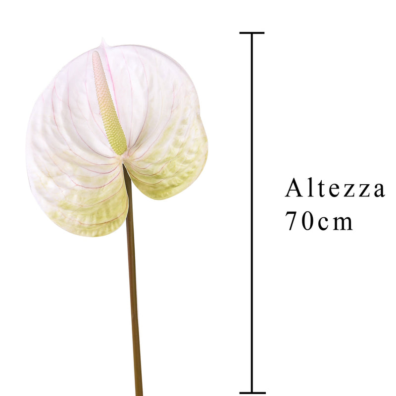 Set 6 Fiori Artificiali di Anthurium Altezza 70 cm Verde