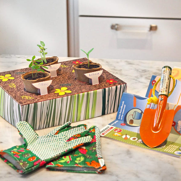 Kit Coltivare Orto Gioco Didattico per Bambini Rama Orobimbo acquista