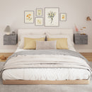 Set di 2 Comodini Sospesi Design Moderno 40x29x30 cm con 2 Cassetti Grigio Cemento 