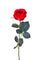 Set 8 Rose Artificiali Semi Aperta Altezza 37 cm Rosso