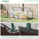 Mini Serra da Giardino con 2 Finestre 119x60x60 cm Copertura PVC Anti-UV Trasparente