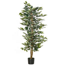 Pianta Artificiale di Ficus H150 cm con Vaso Verde