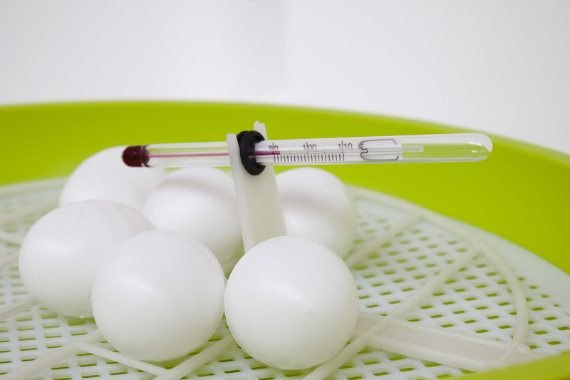 Incubatrice per Uova Smart Digitale 24 Viola