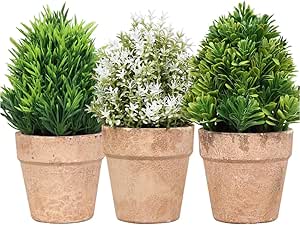 Set 3 Piante Artificiali Vari Tipi con Vaso Color Terracotta prezzo