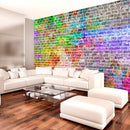 Fotomurale - Rainbow Wall 300X210 cm Carta da Parato Erroi
