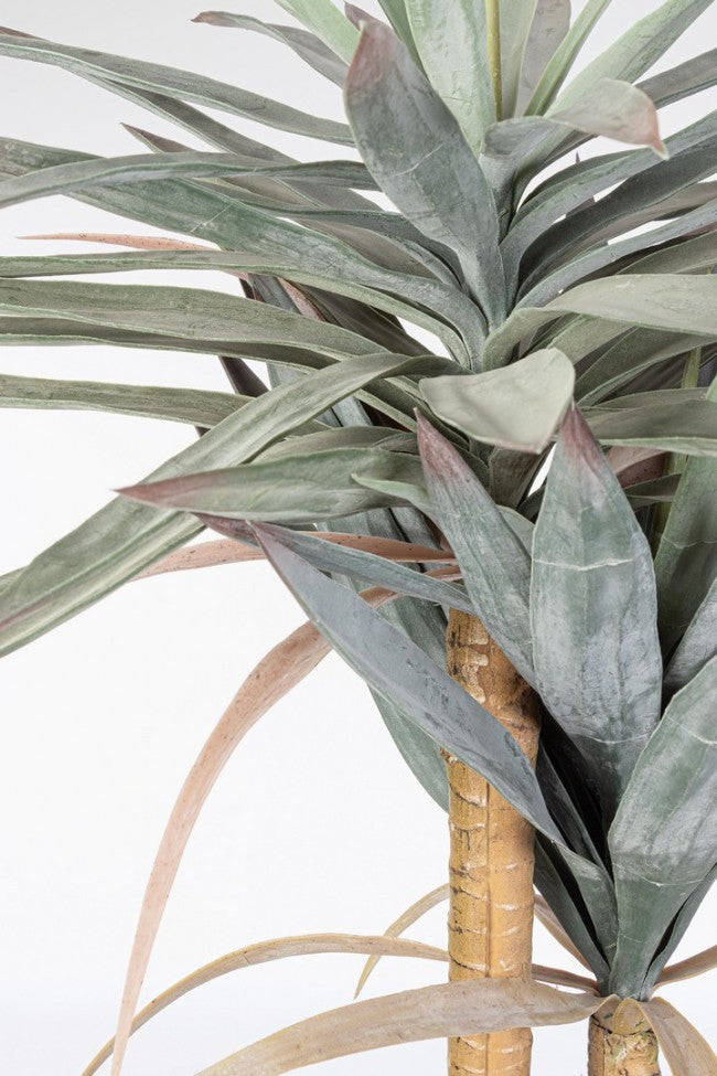 Set 2 Piante Artificiali Yucca 80x75x152 cm in Plastica con Vasi Verde