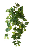 Set 2 Piante Artificiali Potos con 129 Foglie H 68 cm