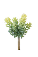 Set 6 Rami Artificiali Grassa a 6 Diramazioni H 185 cm