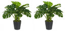 Set 2 Piante Artificiali di Filodendro 60x60x65 cm in Plastica con Vasi Verde