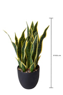 Pianta Artificiale Sanseveria con Vaso 48 cm 