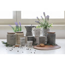 Barattolo Sale con coperchio bamboo 800 ml in Gres VdE Tivoli 1996 Grigio