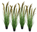 Set 4 Piante Artificiali con Vaso Ø 70x145 cm Pampas in Plastica Verde Marrone