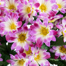 Set 2 Mazzo di 18 Margherite Artificiali Altezza 61 cm 