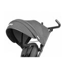 Triciclo a Spinta Pieghevole per Bambini con Maniglione Direzionabile Qplay Rito Star Nero