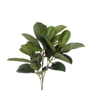 Rubber con 31 Foglie Artificiali Altezza 90 cm Verde