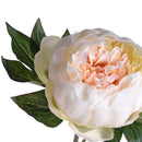 Set 8 Peonia Artificiale Altezza 48 cm Giallo