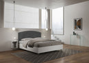 Letto Matrimoniale con Rete e Contenitore Alzata Comoda Struttura Bianco Frassico e Testata in Microfibra Antilia Grigio Varie Misure
