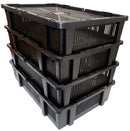 Incubatrice per Uova MG320S Maxi Pro