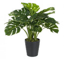 Set 2 Piante Artificiali di Filodendro 60x60x65 cm in Plastica con Vasi Verde