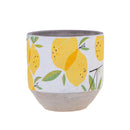 Set 3 Contenitori Decorativo Limoni Ø 14 H 14 cm