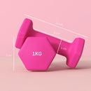 Set 2 Manubri Palestra 1 kg Pesi esagonali per Allenamento Rosa