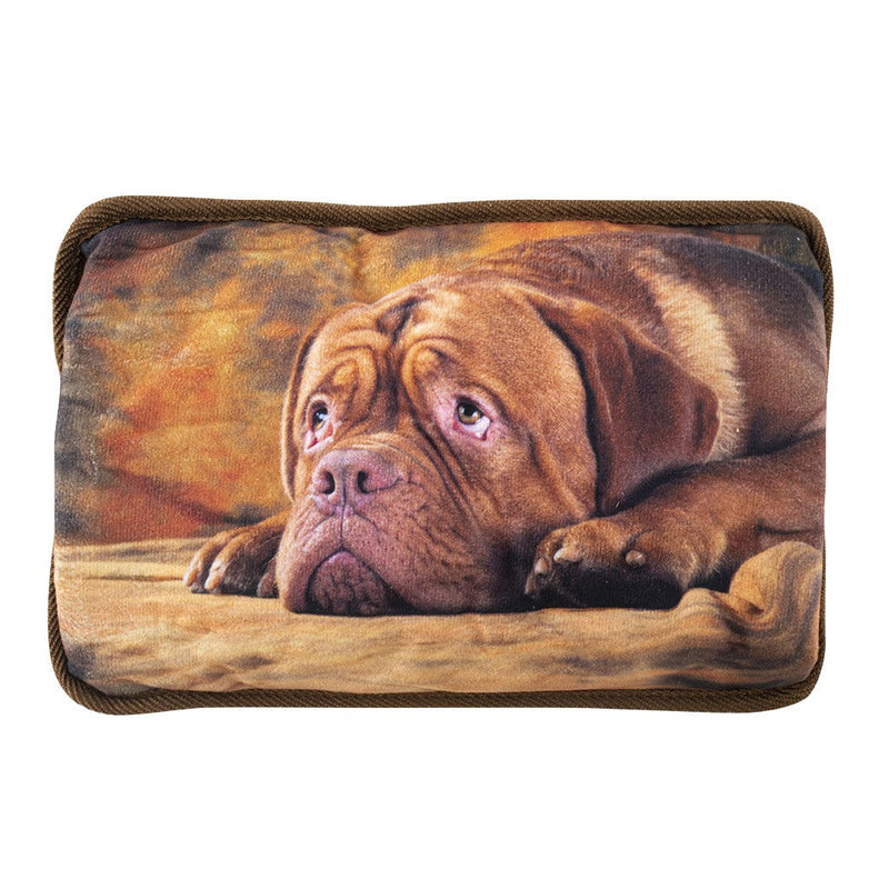 Borsa Acqua Calda Elettrica 550W con Stampa Marrone