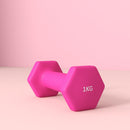 Set 2 Manubri Palestra 1 kg Pesi esagonali per Allenamento Rosa