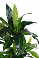 Set 2 Piante Artificiali Dracena H110 cm con Vaso Verde