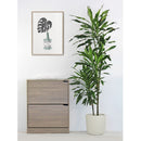 Scarpiera 2 ante 63x80x24 cm in Legno Melaminico Rovere 