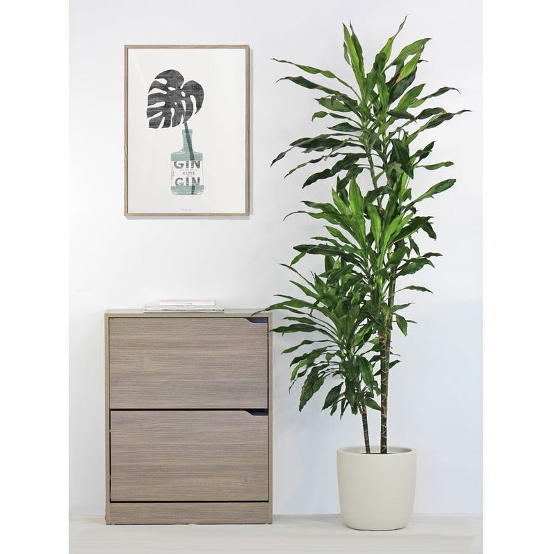 Scarpiera 2 ante 63x80x24 cm in Legno Melaminico Rovere 