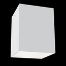 Plafoniera Ceiling & Wall in Alluminio Alfa Bianco