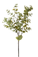 Set 6 Rami Artificiali Ruscus Orientale H 68 cm 