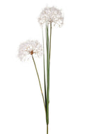 Set 2 Tarassaco Artificiali Composto da 2 Fiori Artificiali con Foglie Altezza 120 cm Bianco