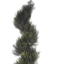 Pianta Artificiale Cipresso Spirale con Vaso H 154 cm