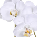 Set 2 Pianta Artificiale di Phalaenopsis Artificiali con Vaso Altezza 38 cm Bianco