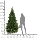 Albero di Natale Artificiale H230 cm Abete Appennino con 2267 Tips Verde