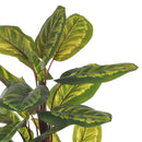 Amaranta Peacock Artificiale con Vaso Altezza 122 cm Verde