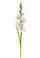 Set 8 Fiori Artificiali di Gladiolo Mini Altezza 74 cm