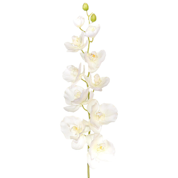 Set 2 Phalaenopsis Artificiale con 10 Fiori Altezza 109 cm acquista