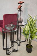 Tavolinetti Dublino Coppia Ø50,5x61,5 - 40,5x57 cm in Ferro e Vetro Nero