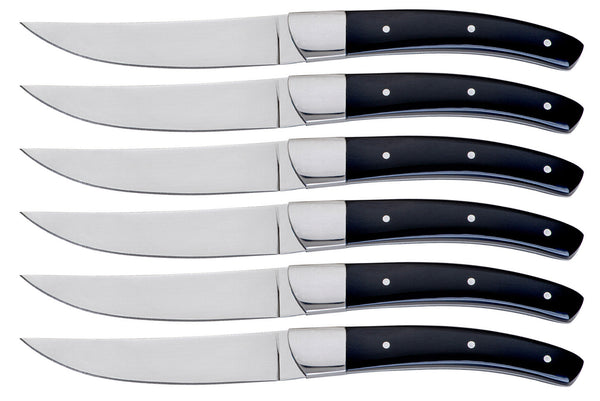 Set 6 Coltelli da Bistecca Lama Liscia Manico in Plastica Tyson Nero online